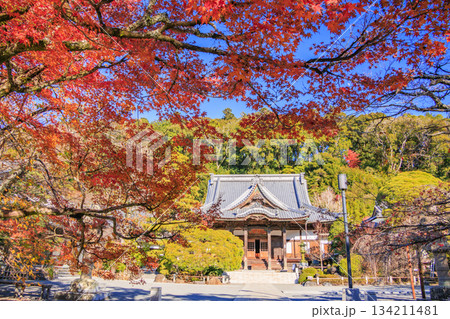紅葉見頃な伊豆修禅寺 134211481
