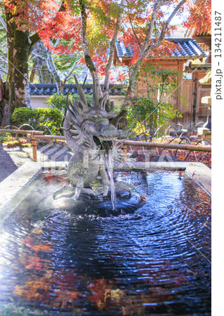 紅葉見頃な伊豆修禅寺 134211487