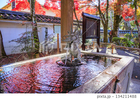 紅葉見頃な伊豆修禅寺 134211488