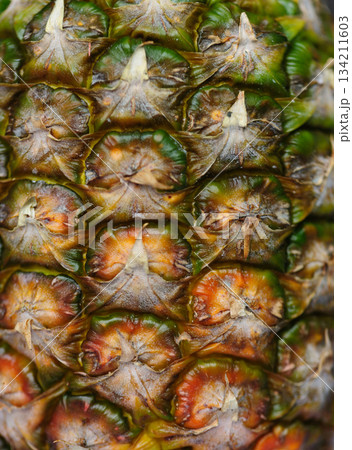 Aerial view of landscape in Guangzhou city, China 134211603