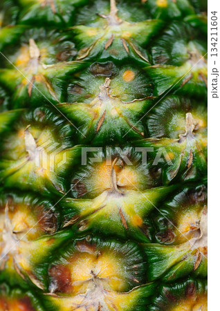 Aerial view of landscape in Guangzhou city, China 134211604