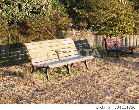 公園のベンチ　B 134211856