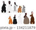 いろいろなウサギのセット 134211879