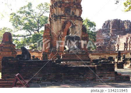 タイ アユタヤ  アユタヤ歴史公園 ワット・マハタートの仏像 134211945