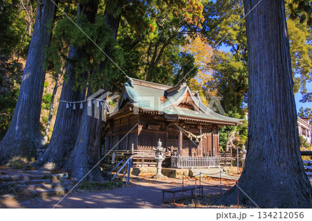 伊豆修善寺日枝神社 134212056