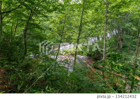 250706長野県奥志賀渓谷 250706長野県奥志賀渓谷 134212432