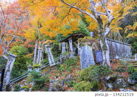 伊豆修善寺指月殿 134212519