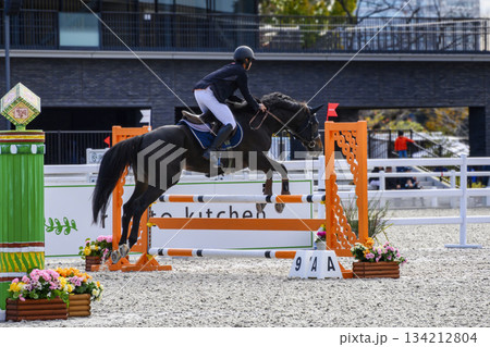 東京都世田谷区　馬事公苑　ジャパン ブリーディング　障害馬術　ホースショー 134212804