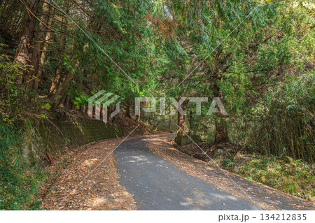 山の上へと続く道　京都府笠置町 134212835