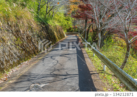 笠置の山間集落へ続く道　京都府笠置町 134212871