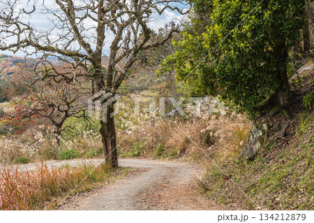 林道　京都府笠置町 134212879