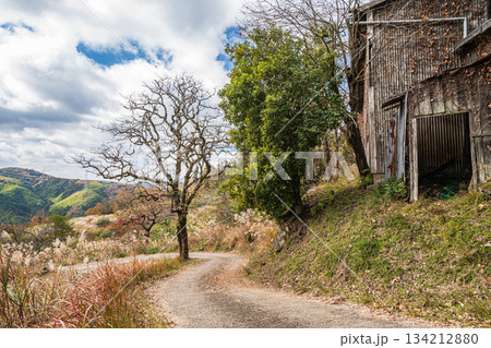 林道　京都府笠置町 134212880