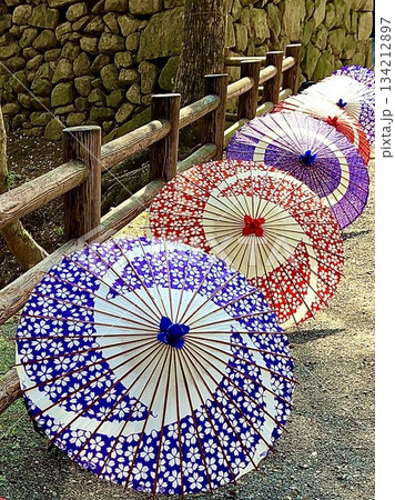 桜まつりに趣きを添える和傘・蛇の目傘のディスプレイ〈岡崎城公園/愛知県岡崎市〉 桜まつりに趣きを添える和傘・蛇の目傘のディスプレイ〈岡崎城公園/愛知県岡崎市〉 134212897