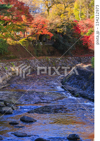 紅葉見頃な伊豆修善寺温泉 134212973