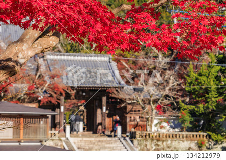 紅葉見頃な伊豆修善寺温泉 134212979