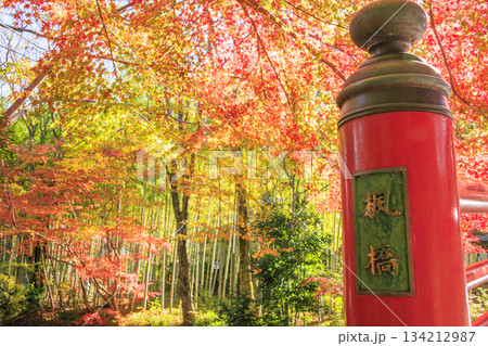 紅葉見頃な伊豆修善寺温泉 134212987