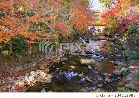 紅葉見頃な伊豆修善寺温泉 紅葉見頃な伊豆修善寺温泉 134212995
