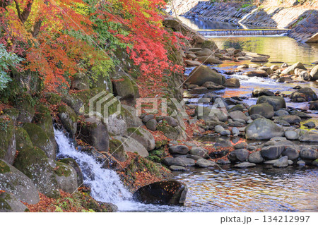 紅葉見頃な伊豆修善寺温泉 紅葉見頃な伊豆修善寺温泉 134212997