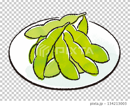 Hand-drawn edamame illustration (appetizer, Japanese food) 134213003