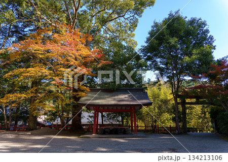紅葉と常緑樹に囲まれた北畠神社の手水舎 134213106