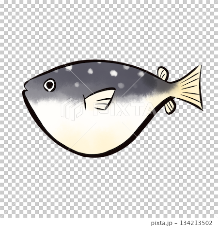 Watercolor Japanese style deformed pufferfish illustration 134213502
