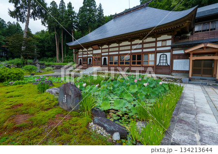 250712十日町市宝泉寺の二千年蓮 134213644