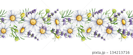 Chamomile with lavender flowers seamless border decor element watercolor illustration. Hand drawn lavender stems and chamomile blossoms border floral decoration element isolated on white background Chamomile with lavender flowers seamless border decor element watercolor illustration. Hand drawn lavender stems and chamomile blossoms border floral decoration element isolated on white background 134213716
