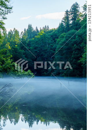 250716津南町龍ヶ窪 134213951