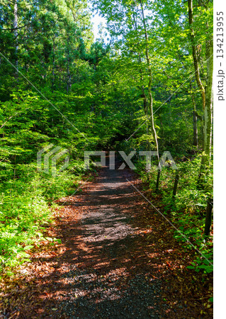 250716津南町龍ヶ窪 134213955