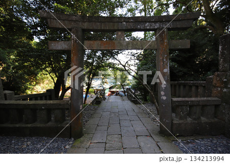 久能山東照宮 静岡県 駿河 集約電波塔 日本平デジタルタワー 久能山東照宮 静岡県 駿河 集約電波塔 日本平デジタルタワー 134213994