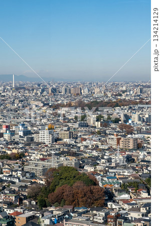 三軒茶屋から北方面を望む風景 134214129