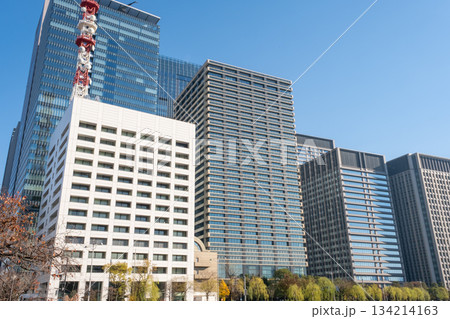 都内 大手町の高層ビル群 134214163