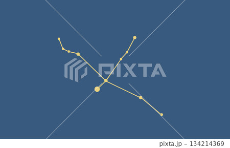 ネイビー色の背景に浮かぶ白鳥座（星座線）のイラスト（ゴールド色の線画） 134214369