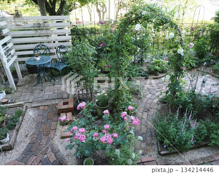 春の交響 ― 春日市・庭に咲く薔薇とクレマチスの饗宴 134214446