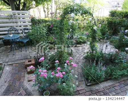 春の庭の重奏 ― 春日市・コンフィチュールとレイニーブルー、アーチを彩る花々 134214447