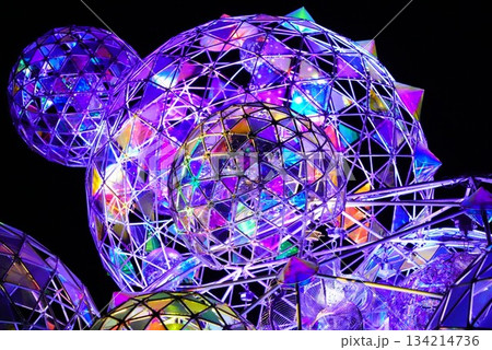 国営備北丘陵公園のウインターイルミネーション 134214736