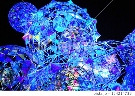 国営備北丘陵公園のウインターイルミネーション 134214739