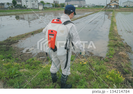 Agriculture 134214784