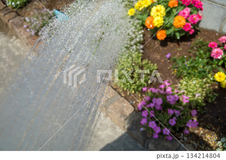 庭の花壇に水やり 庭の花壇に水やり 134214804