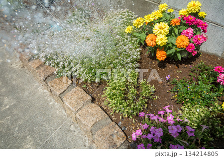 庭の花壇に水やり 134214805