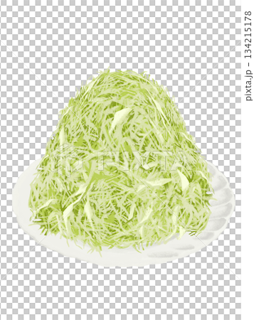 一大份切絲高麗菜配盤子 134215178