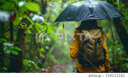 Female Hiker with Umbrella Walking on Rainy Forest Trail. Wet Weather Trekking Adventure 134215182