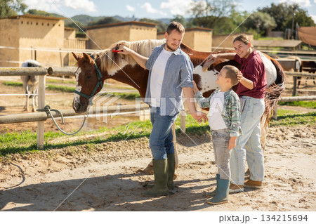 Young man and young woman combing horse 134215694