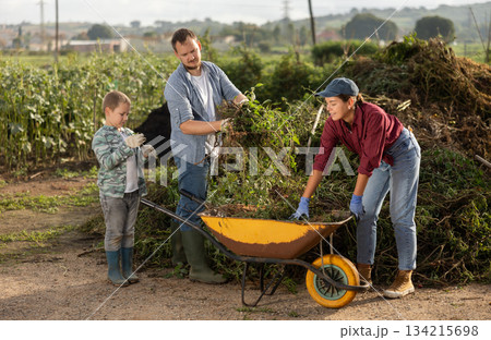 Man woman and boy putting weeds in wheelbarrow Man woman and boy putting weeds in wheelbarrow 134215698