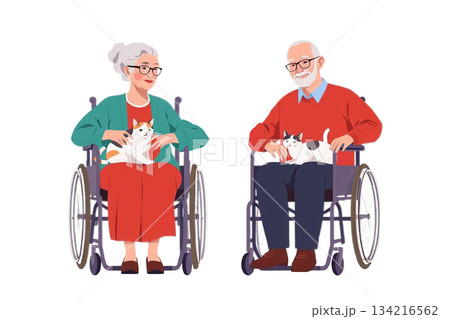 二組のおばあさんとおじいさんが車椅子に座り、膝の上で丸くなる猫を優しくなでているシーン 134216562