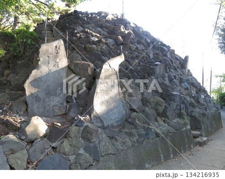 品川区の品川神社にある富士塚（品川富士） 134216935