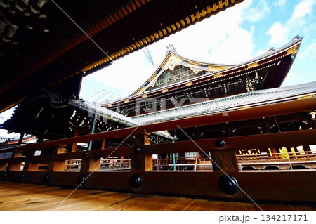 京都府　東本願寺・御影堂（重要文化財） 京都市 下京区 常葉町　2022年2月 134217171