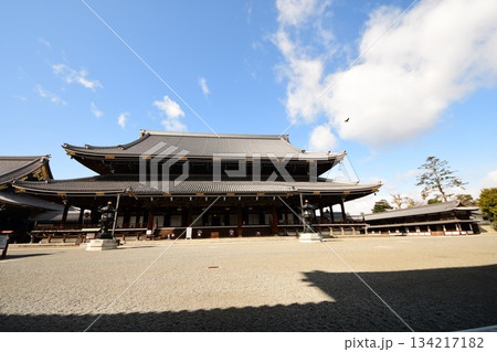 京都府　東本願寺・御影堂（重要文化財） 京都市 下京区 常葉町　2022年2月 134217182