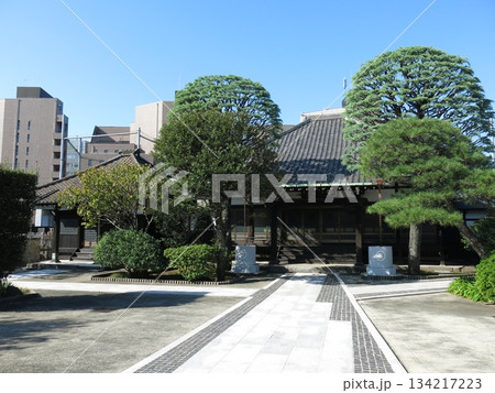 品川区の長徳寺（本堂・閻魔堂） 134217223