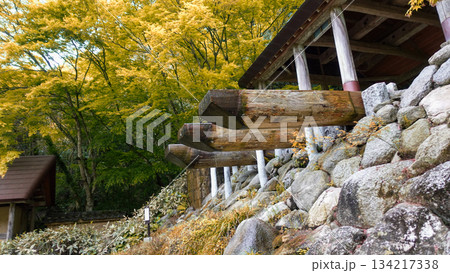 紅葉した木と水車小屋 紅葉した木と水車小屋 134217338